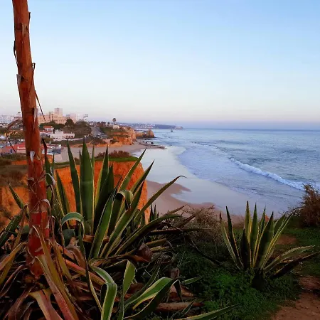 Apartament Praia Da Rocha Central Apart